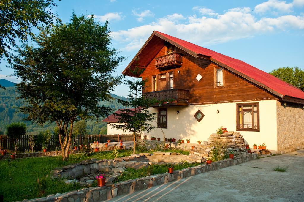 Casa Lidia Lepşa Exterior foto
