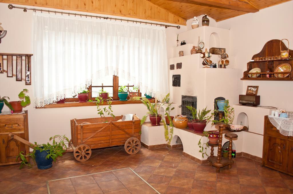 Casa Lidia Lepşa Exterior foto